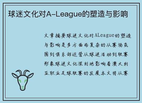 球迷文化对A-League的塑造与影响 球迷文化对A-League的塑造与影响